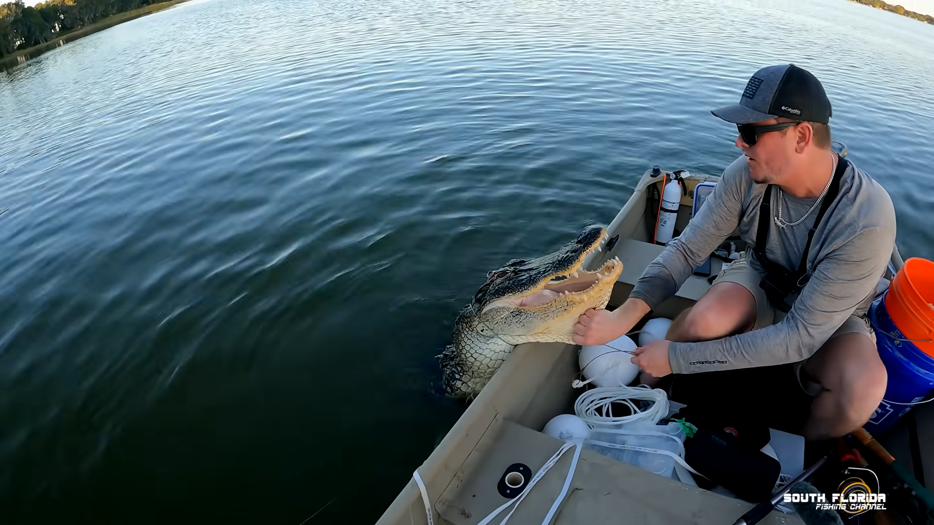 Two guys catch a wild gator with their bare hands