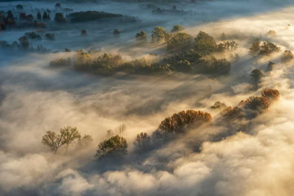 Nebbie sull’Adda: i colori del foliage si rincorrono tra luci e ombre
