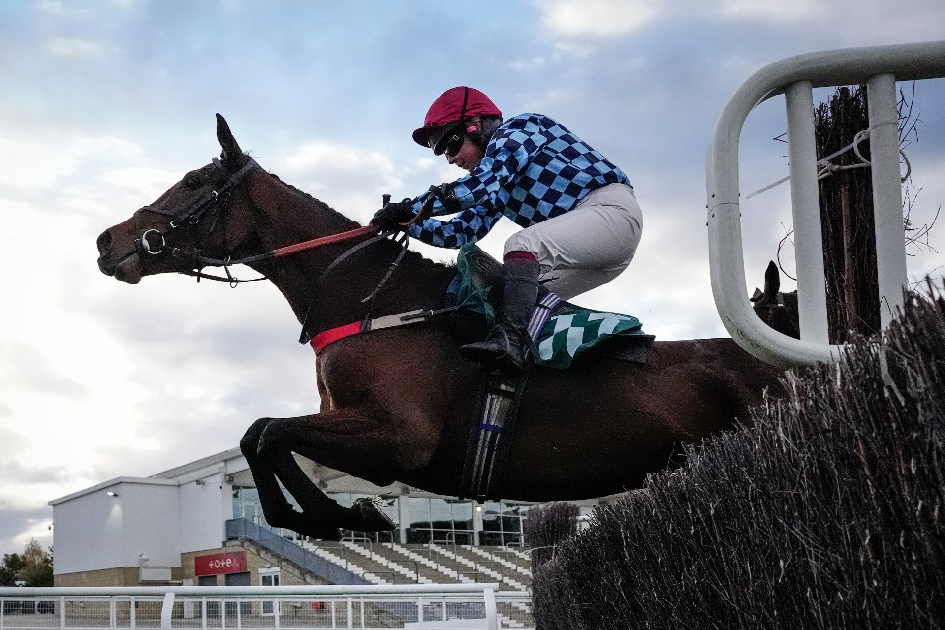Horse racing betting tips today: Cheltenham