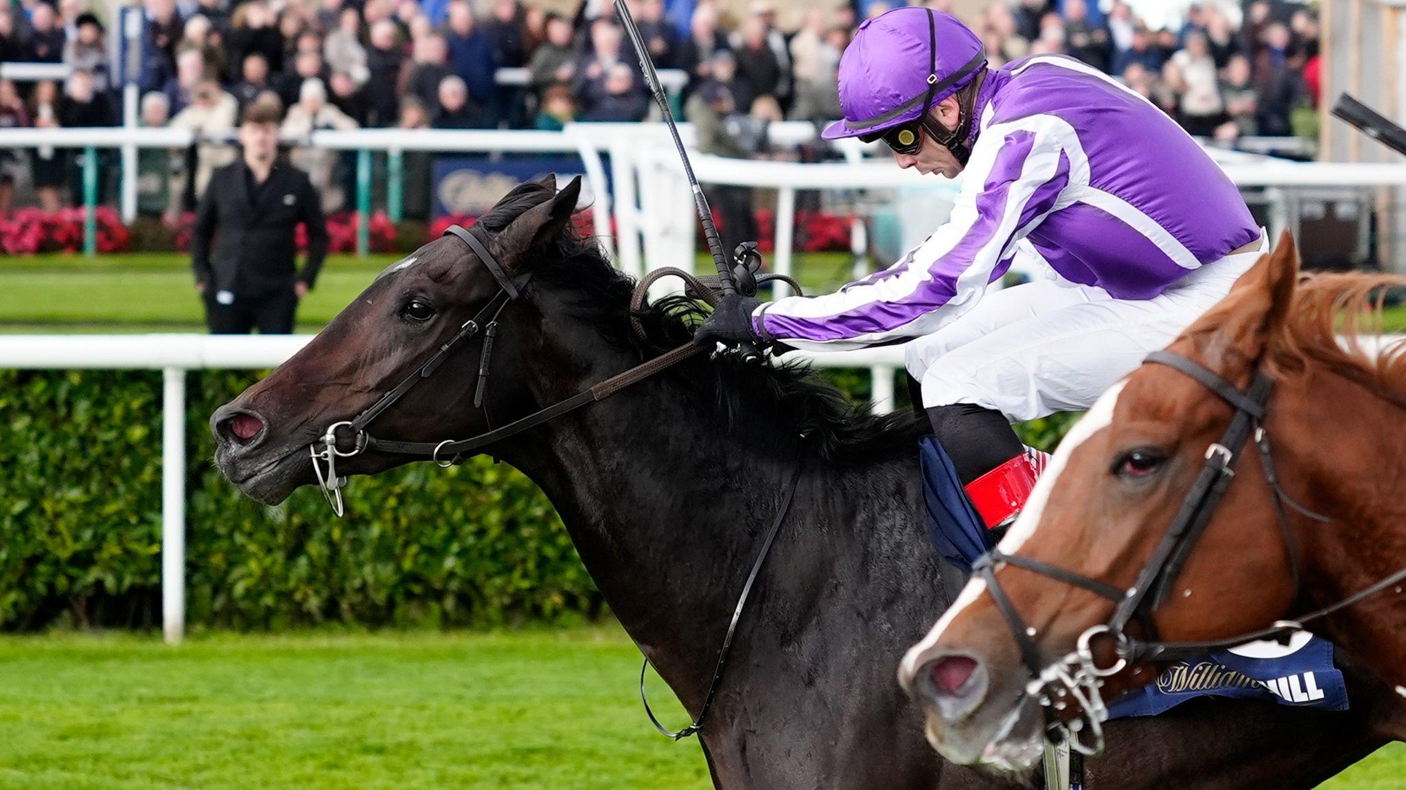 Hawk Mountain gives O'Brien 12th Trophy Stakes win