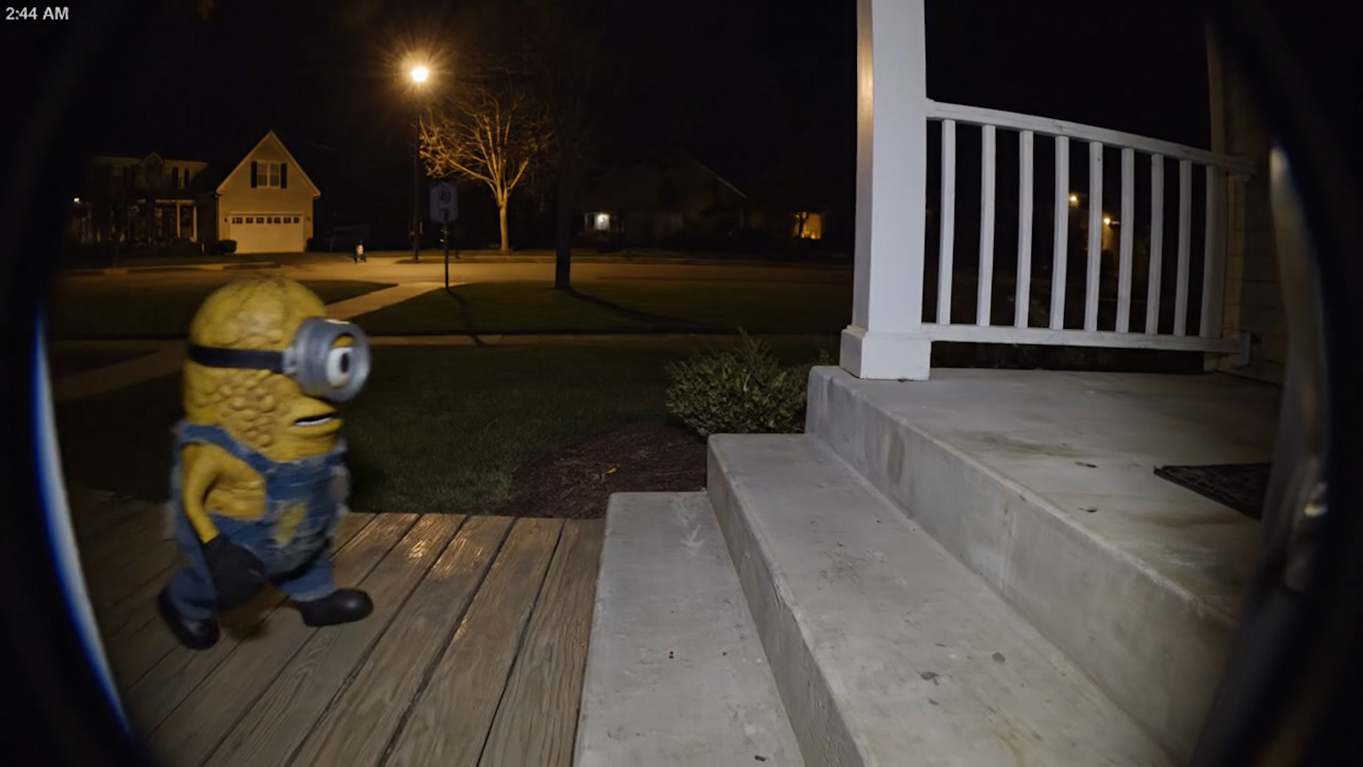 Real Life Minions Caught on Camera