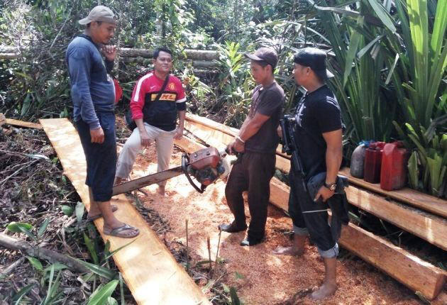 ILUSTRASI. Tim gabungan dari Polres Bengkalis mengamankan 6 pelaku illegal logging di kawasan hutan biosfer, Bengkalis, pada Selasa (30/1) lalu.