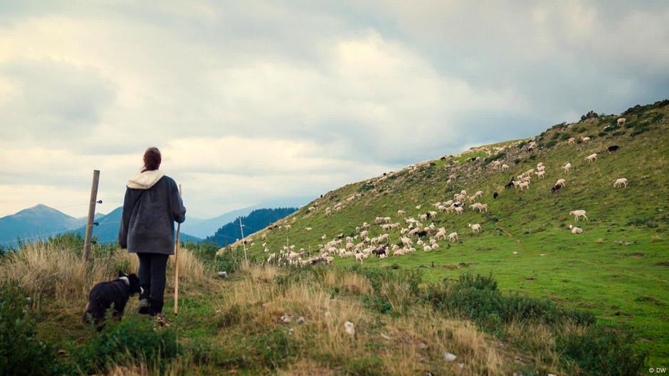 Sheep over stress – the perks of a shepherd’s life
