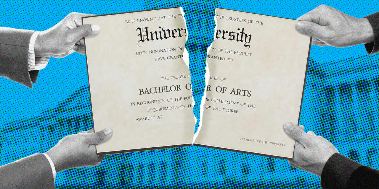Theres a war on the bachelors degree. Can anything replace it?