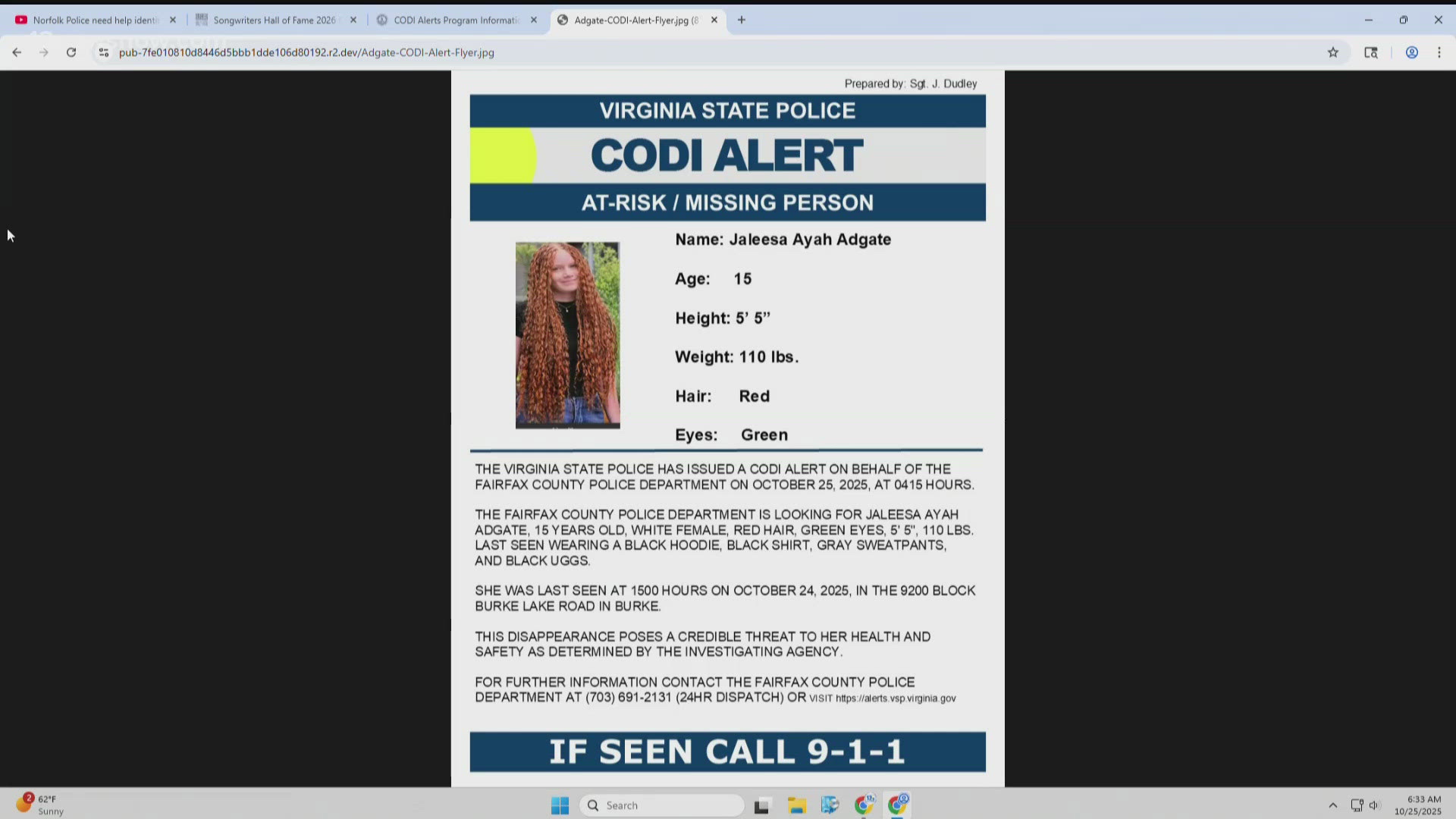Codi Alert issued for missing 15-year-old girl from Fairfax County