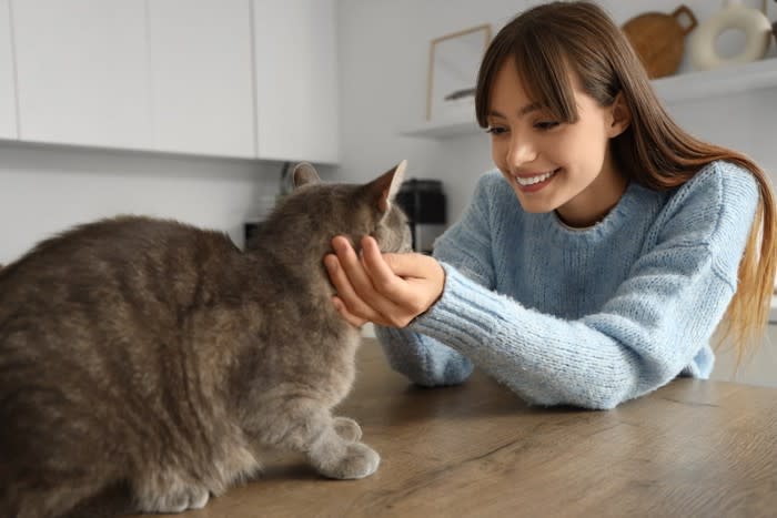猫の『声がおかしい』ときに考えられる原因4つ 病気の可能性も？注意すべき症状まで解説