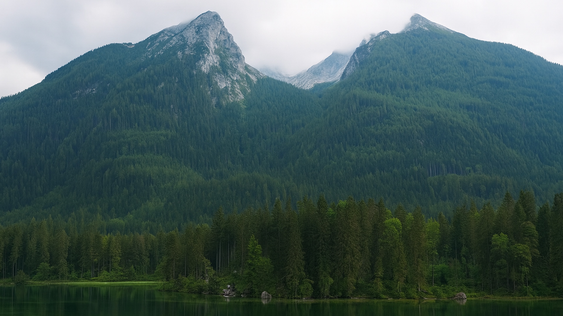 Alpské lesy a hory v Německu ve 4K
