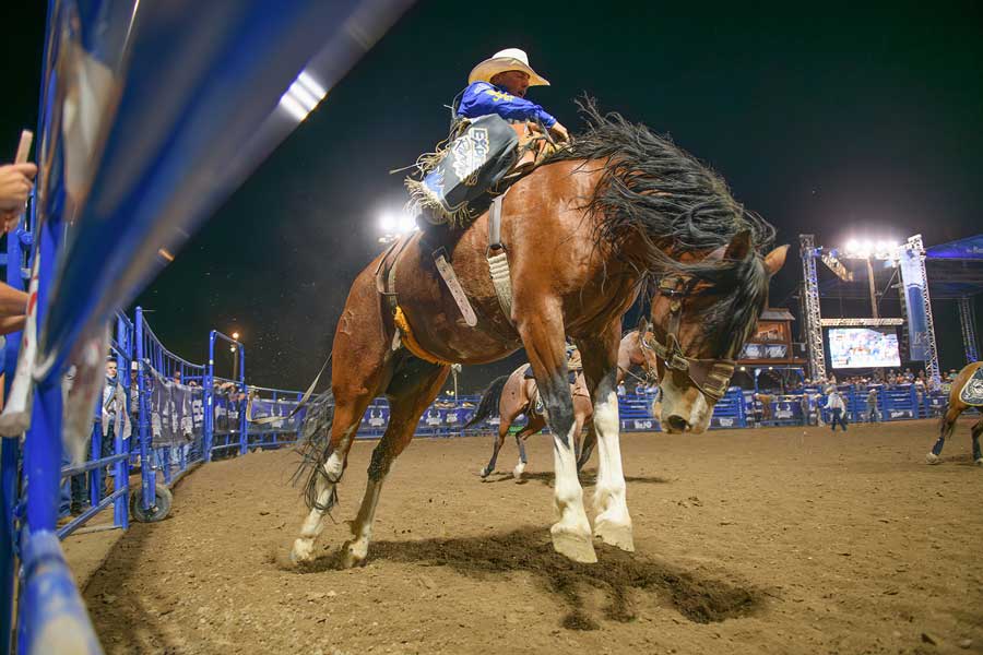Gem State Classic Pro Rodeo earns back-to-back PRCA top five honors