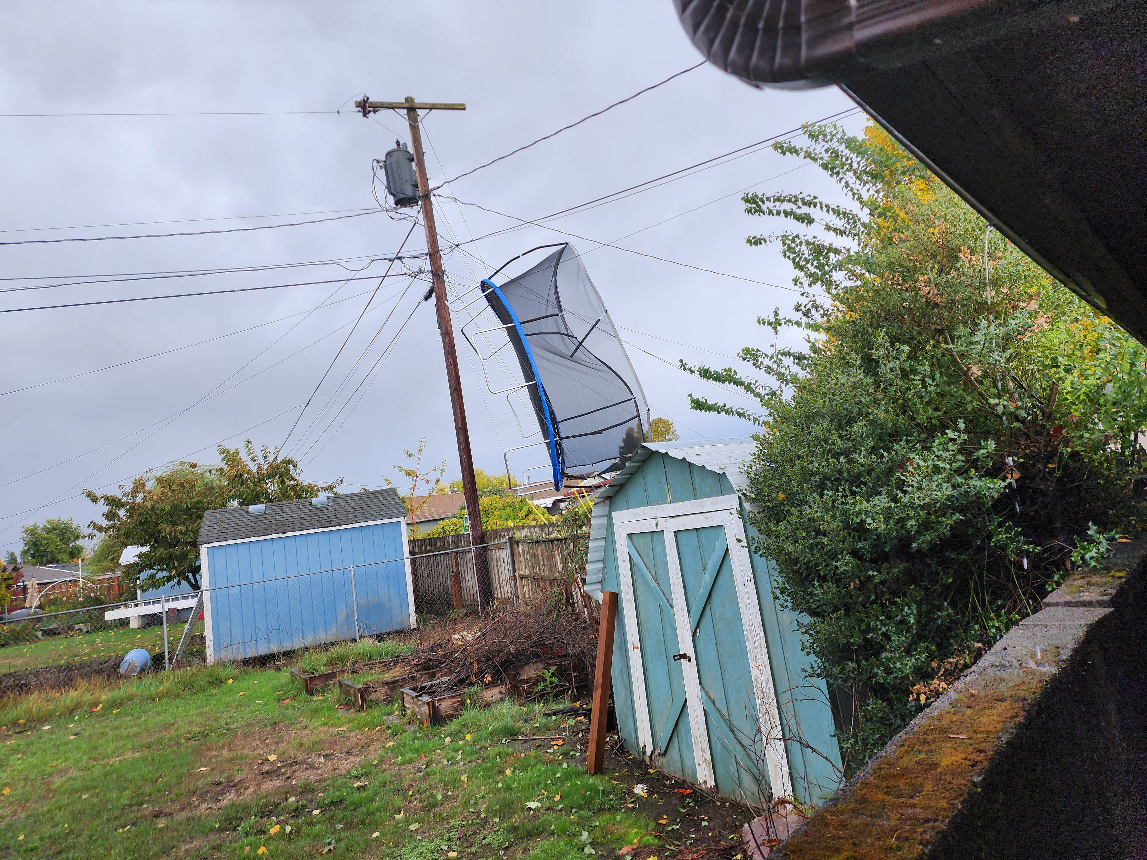 Winds, rain bring down trees, knock out power to thousands in NW Oregon