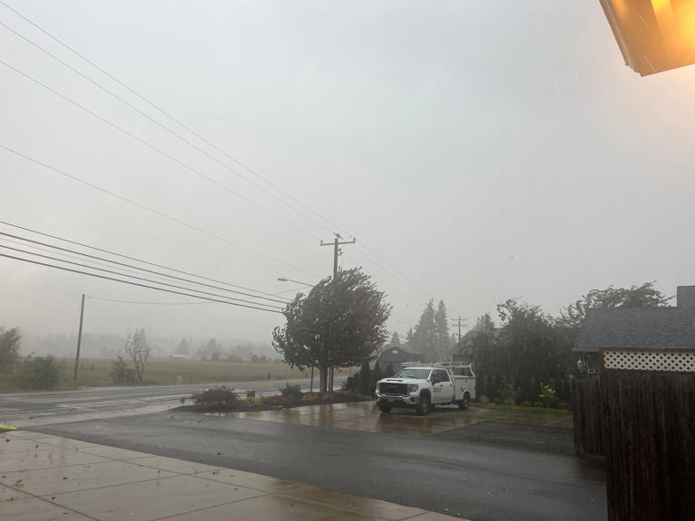 Winds, rain bring down trees, knock out power to thousands in NW Oregon