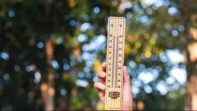 Prakiraan Suhu Maksimum Kota Besar Indonesia Hari Ini, Kupang Terpanas