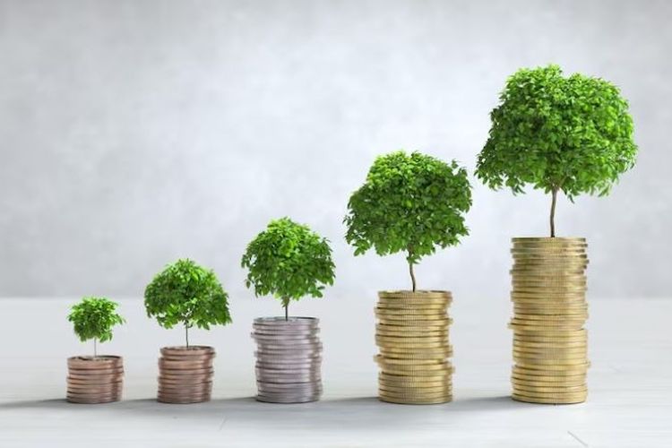 Cara Aman Membuat Uang Berkembang: Investasikan Pendapatan Anda
