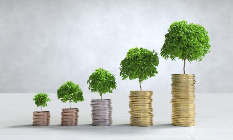 Cara Aman Membuat Uang Berkembang: Investasikan Pendapatan Anda