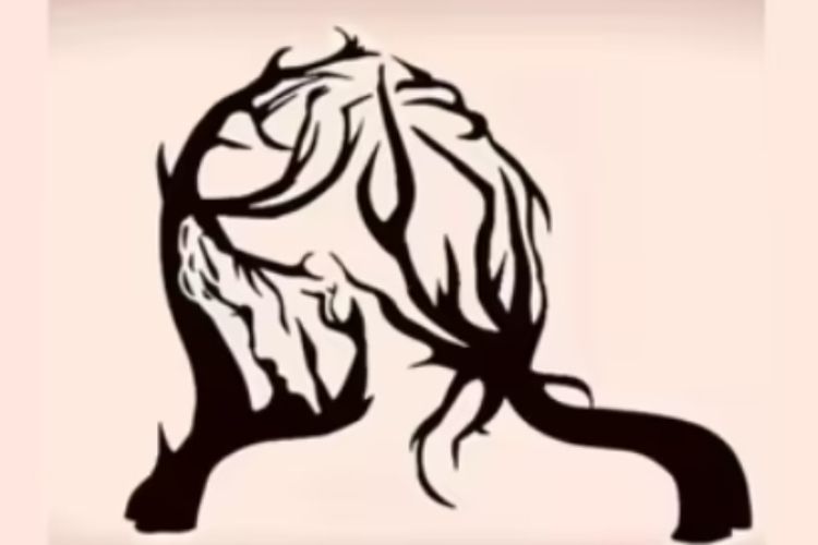 Pastikan Lagi! Temukan Sifatmu Introvert atau Ekstrovert Melalui Ilusi Optik Gambar Wanita dan 2 Poh