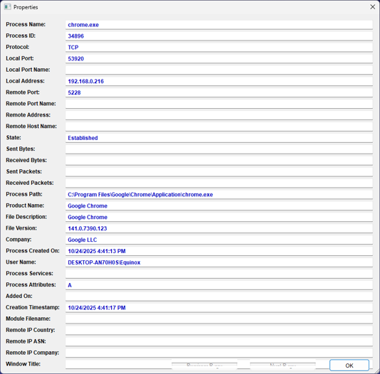 The details of this instance of Chrome.