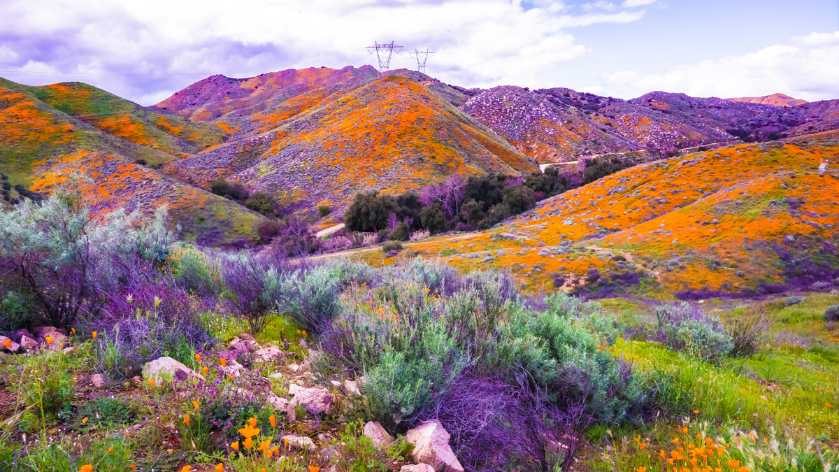 15 amazing claims about nature we've investigated