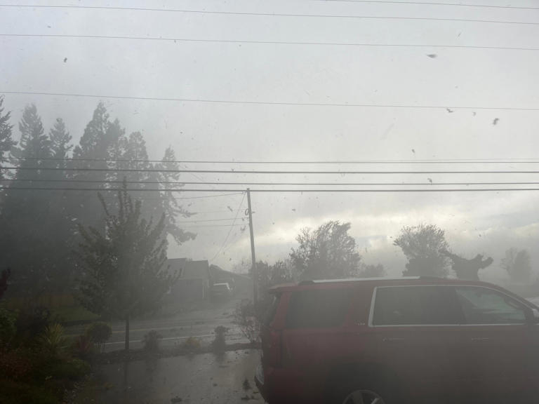 Winds, rain bring down trees, knock out power to thousands in NW Oregon
