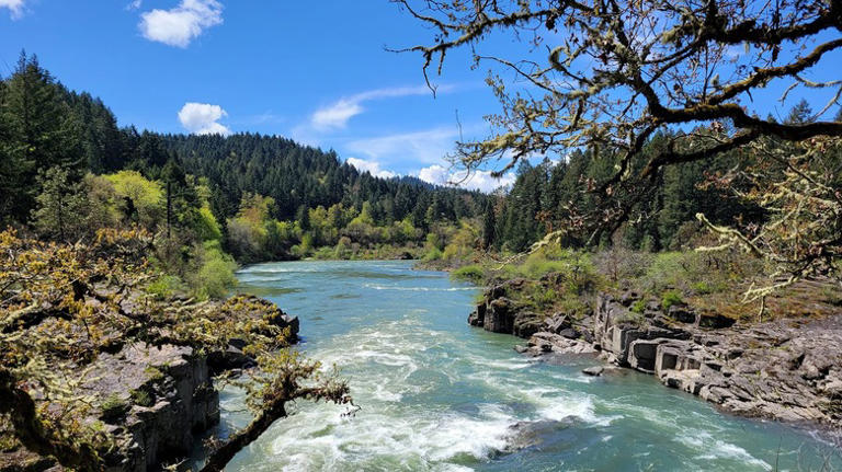 Nestled In Oregon's Umpqua Valley Is An Underrated Riverside Gem With A ...