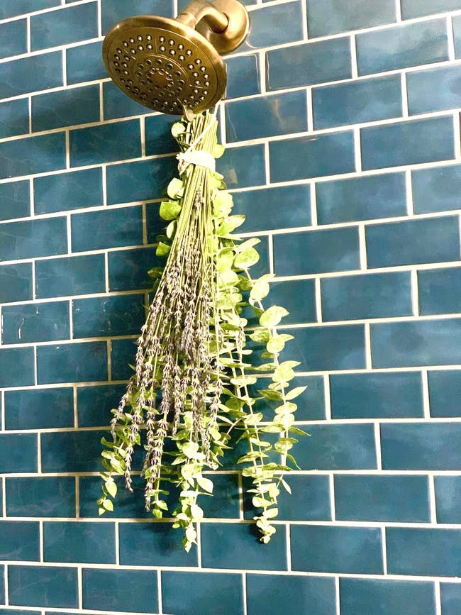 A showerhead with a bundle of fresh lavender and eucalyptus hanging, set against a tiled wall. Ideal for aromatherapy and spa-like experiences at home