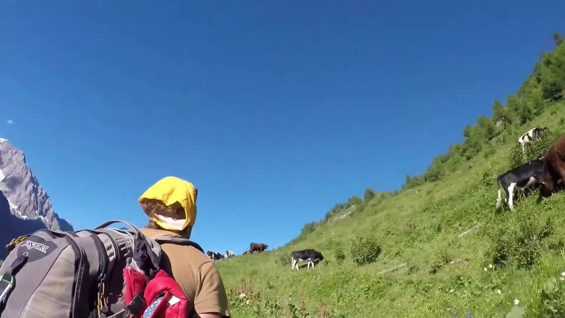 110 miles in 6 days: Our epic TMB trek!
