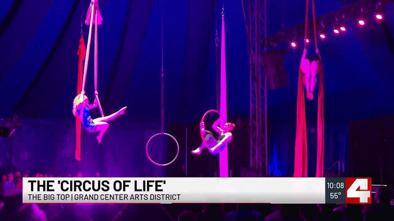 One more day left to experience the Circus of Life