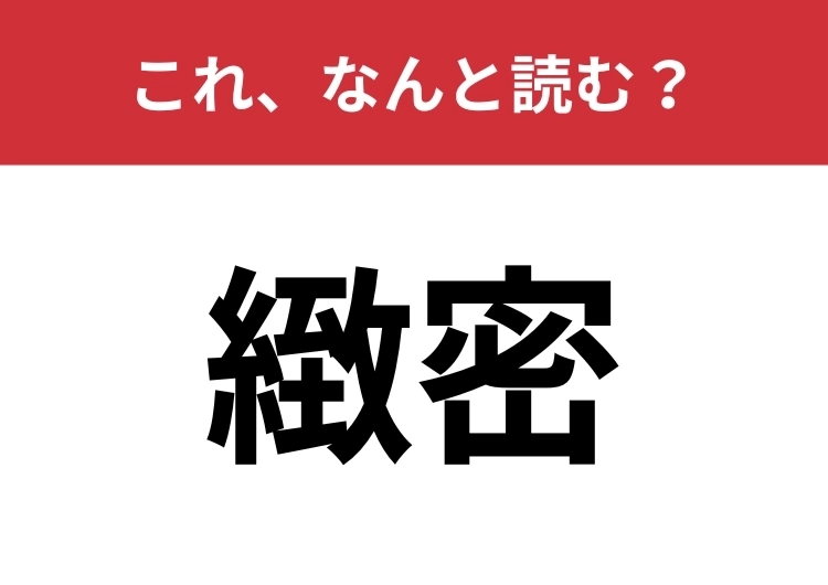 【緻密】はなんと読む？細かくぬかりがないことを意味します！