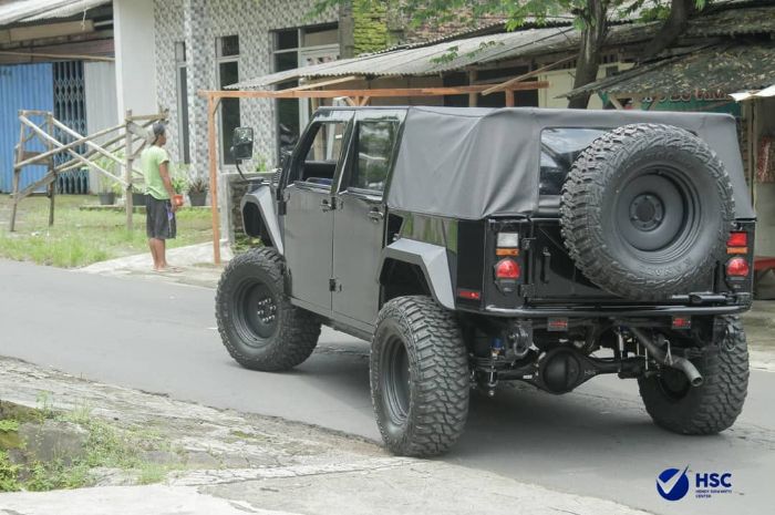 Mobil Rakyat, Solusi Nasional