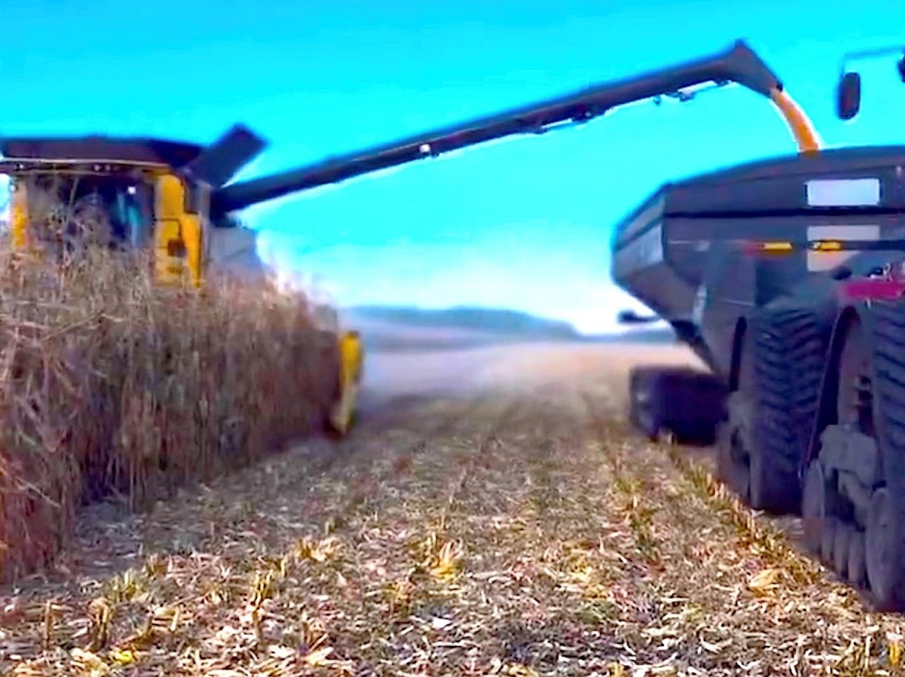 SIEMENS SAYS: Farmers battle heavy mud and slow harvest in southeastern ...