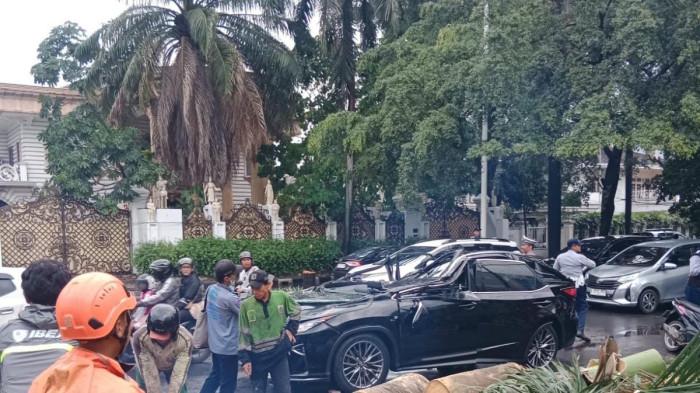 Pohon Tumbang Hancurkan SUV Lexus, Satu Orang Tewas di Jakarta Selatan