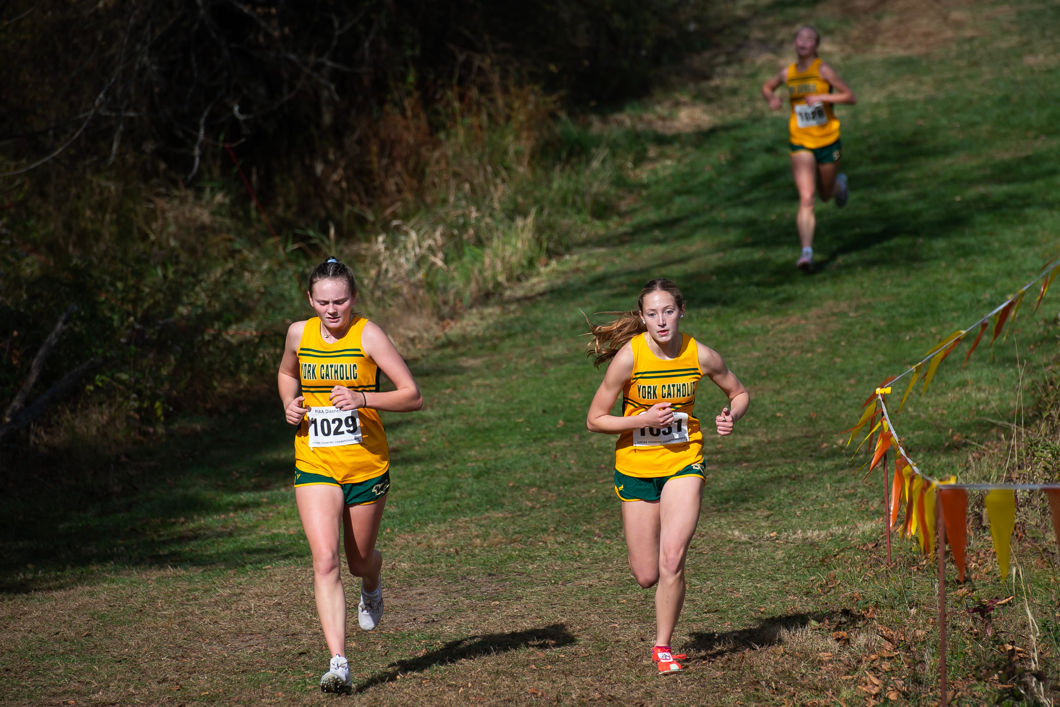 'It was for Sheila,' York Catholic freshmen say of District 3 cross ...