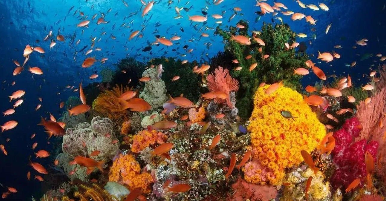 5 Destinasi Wisata Terbaik di Manado yang Harus Dikunjungi