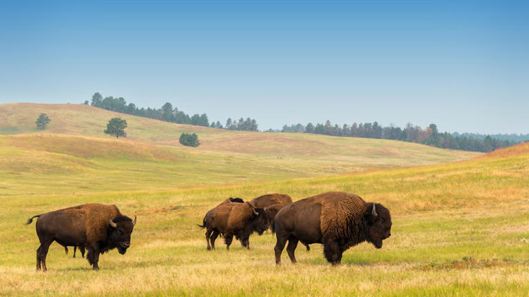 The 5 Best Parks Outside Of Yellowstone Where You'll Find Beautiful ...