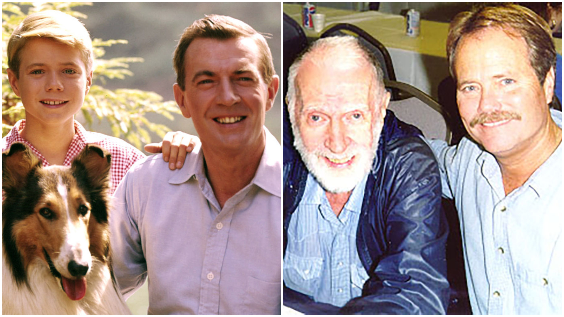 The 'Lassie' Cast, Then and Now | Woman's World