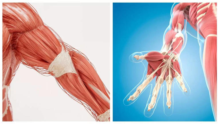 Cricketer Tilak Varma shares life-threatening muscle breakdown: What is ...