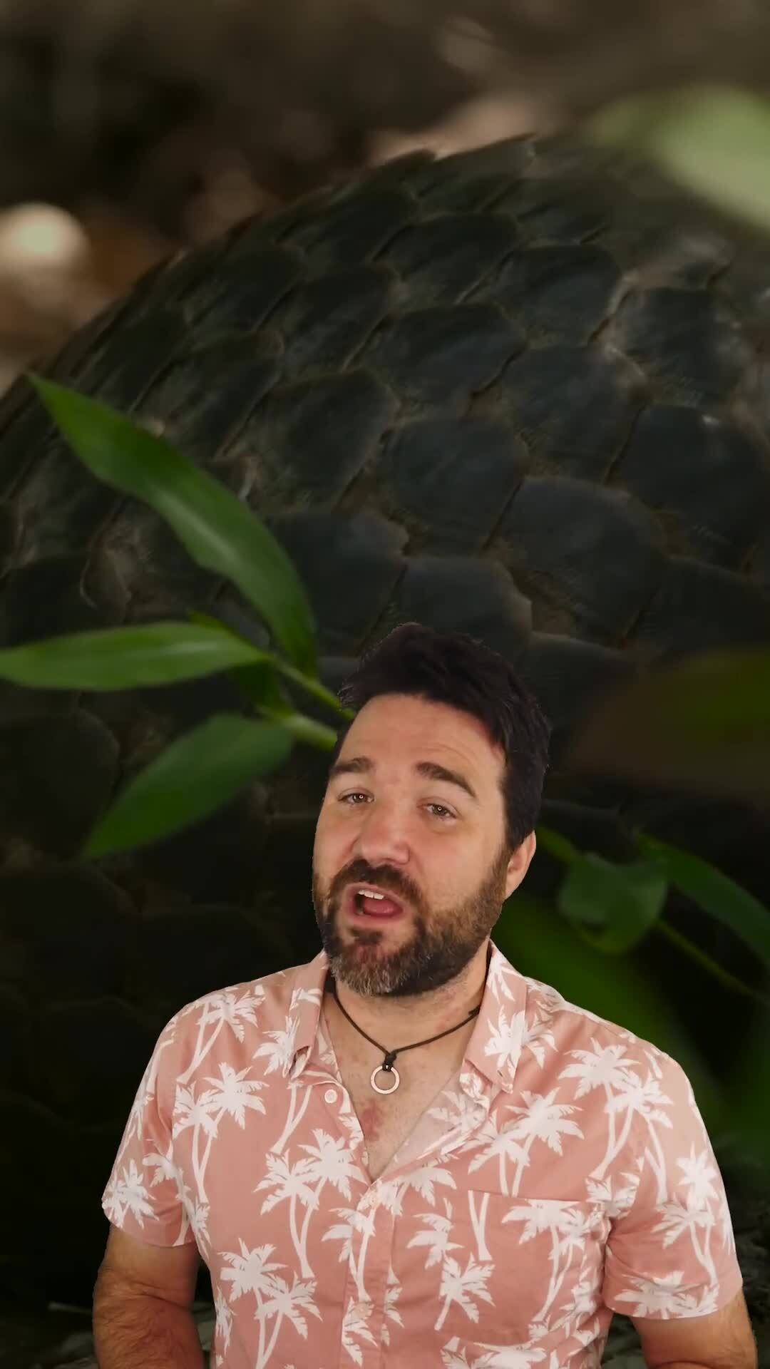 Fascinating Facts About Rare and Exotic Animals