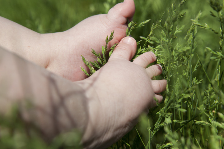 Bayi Laki-Laki Ditemukan di Teras Rumah Warga Sleman dengan Surat Wasiat
