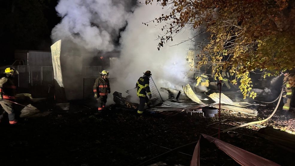 Two dogs, 17 puppies killed in fire believed to be started by a heat ...