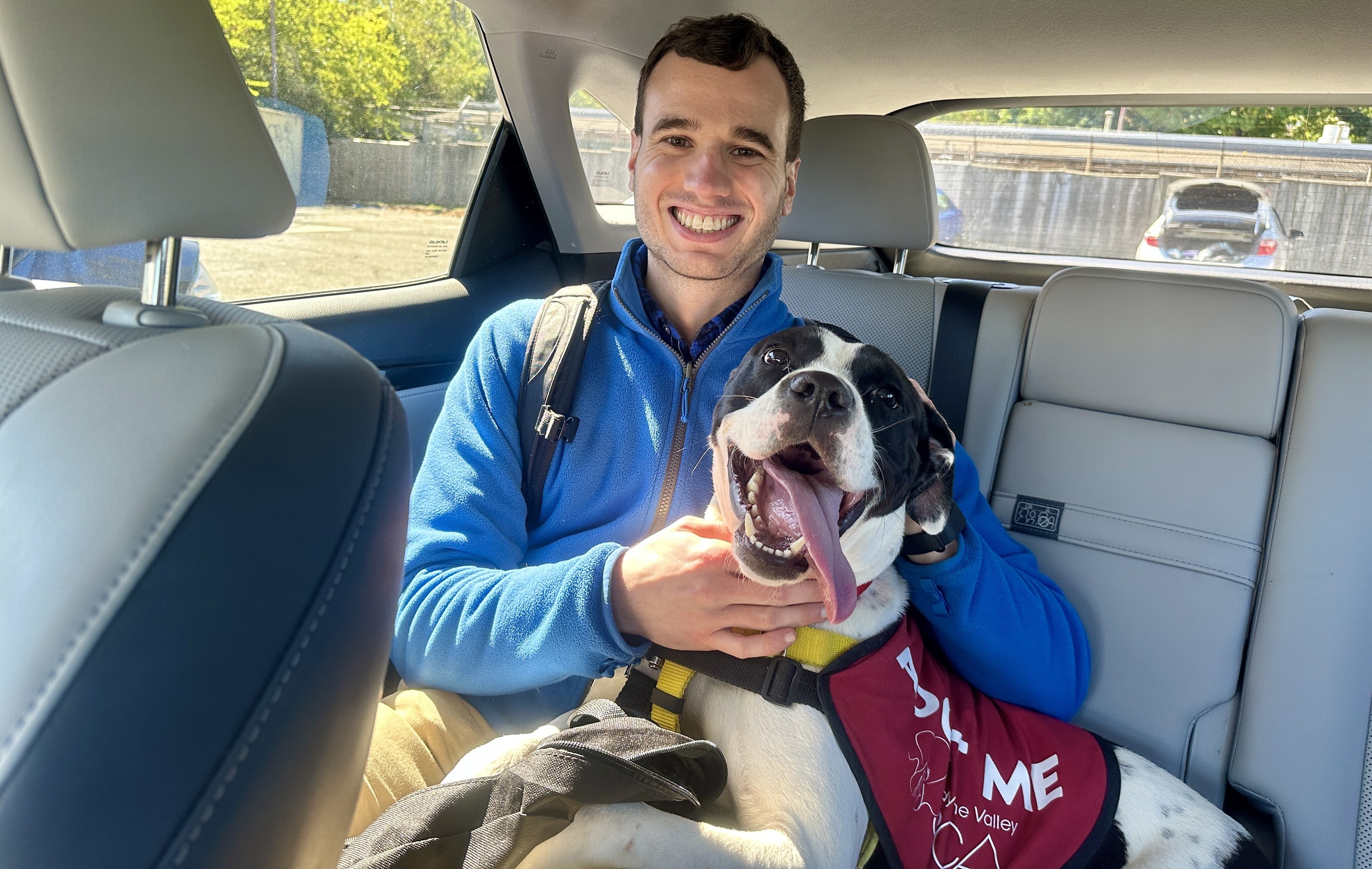 I’m an introvert. Here’s what I learned from a day with an extroverted dog.
