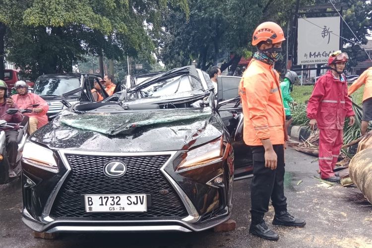 Pengemudi Lexus Tewas Tertimpa Pohon di Pondok Indah