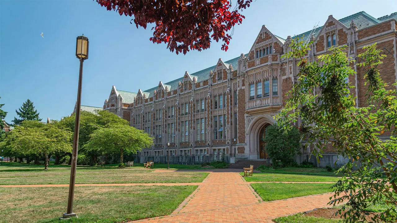 University of Washington professor blasts mandatory DEI statement for ...