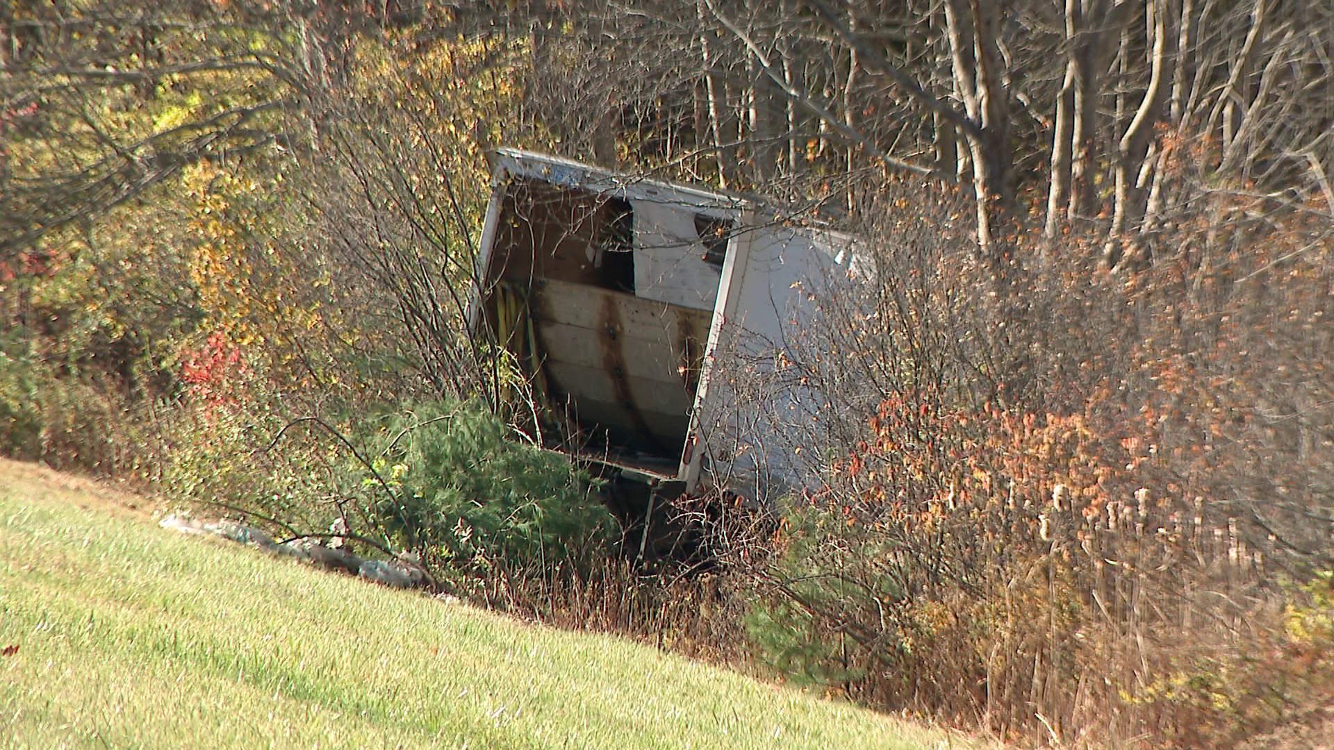 Driver freed after box truck crashes into trees off I-95 in North ...