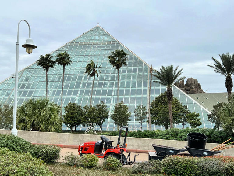 Fantastic Things to Do in Galveston, Texas