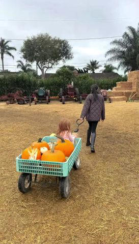 Meghan Markle’s Daughter Princess Lilibet’s Red Hair Is So Long as She