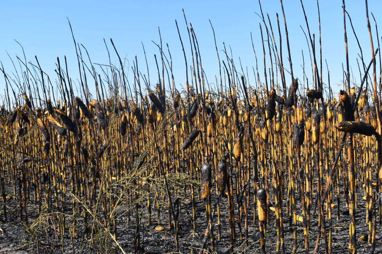Worsening drought conditions in west-central Illinois spark more farm fires