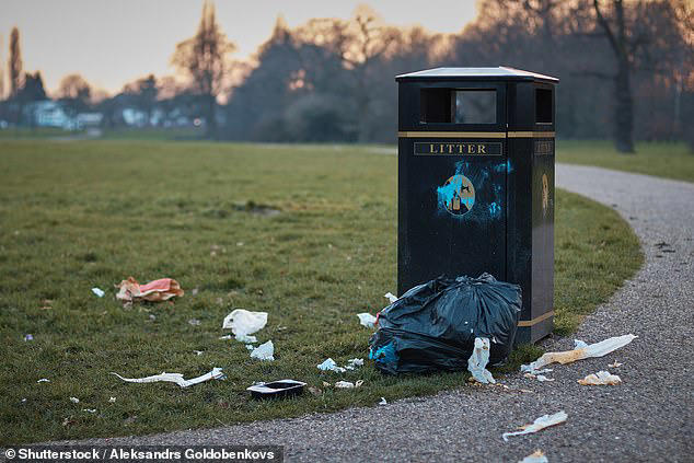 A national survey of 1,140 miles of urban and rural sites in England found that more than nine out of ten contained litter (file pic)