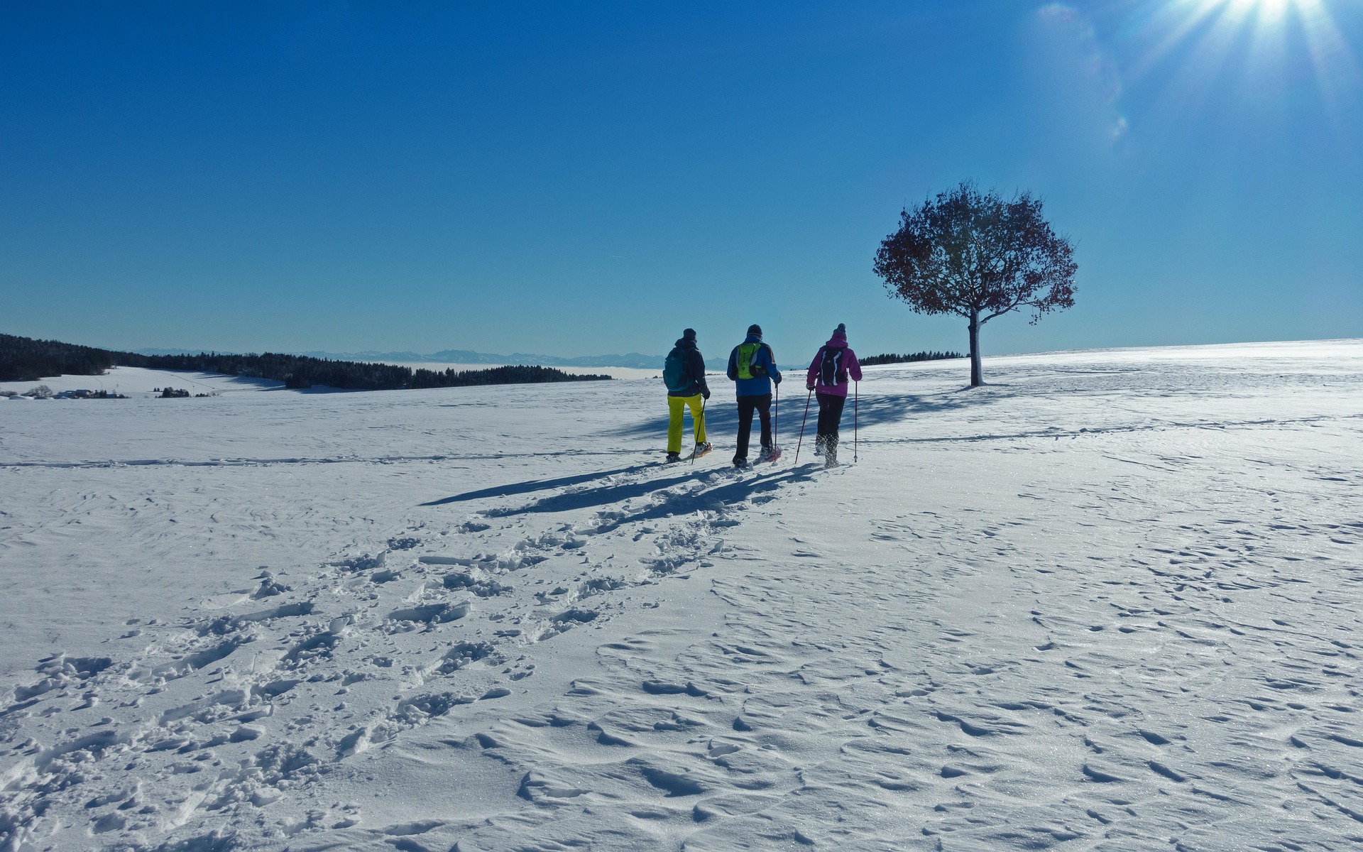 5 Must-Have Essentials for Winter Hiking Adventures