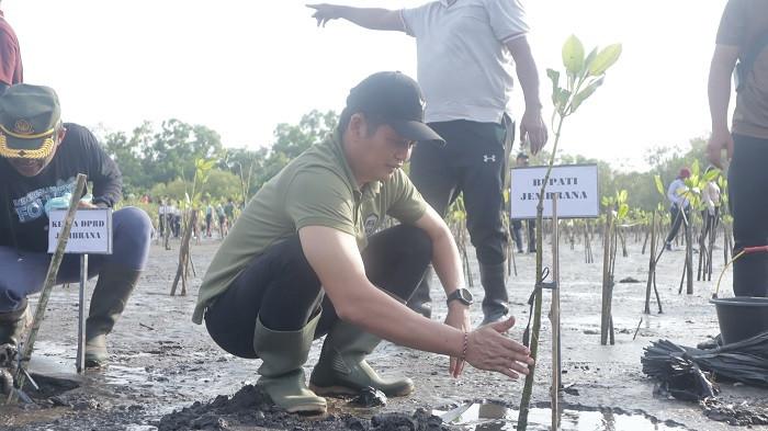 Tanam 5.075 Pohon di DAS dan Pantai, Ribuan Peserta Sukseskan Gerakan Hijau