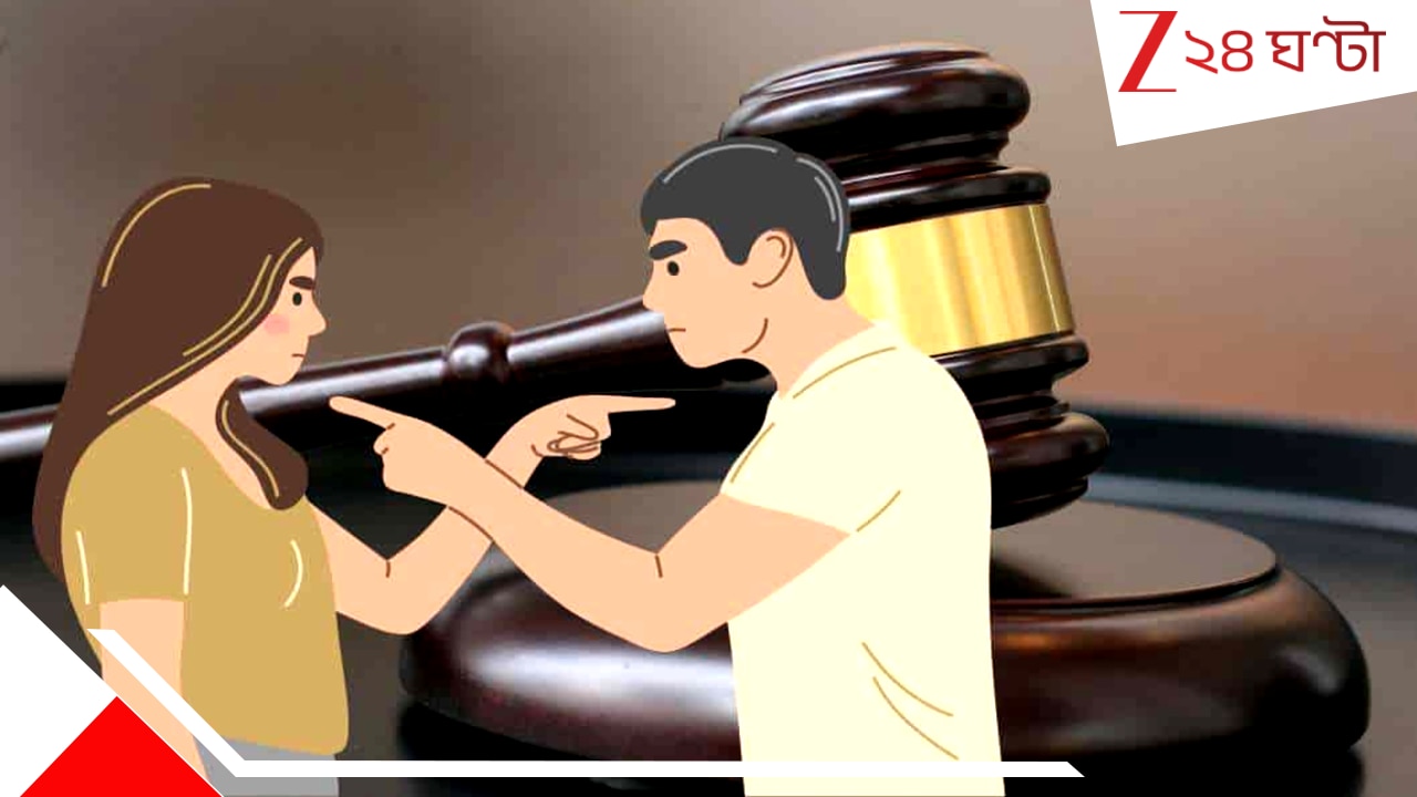 High Court Of Chhattisgarh: ‘বাবার সম্পত্তিতে মেয়েদের অধিকার নেই…’ উত্তরাধিকার মামলায় ঐতিহাসিক রায় হাইকোর্টের!