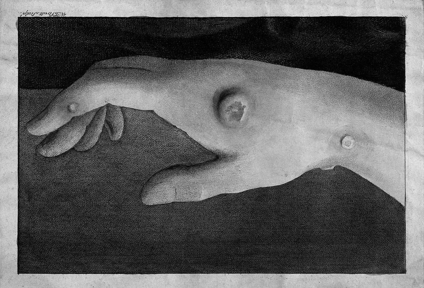 Mythes et réalités : tout ce que vous devez savoir sur les effets ...