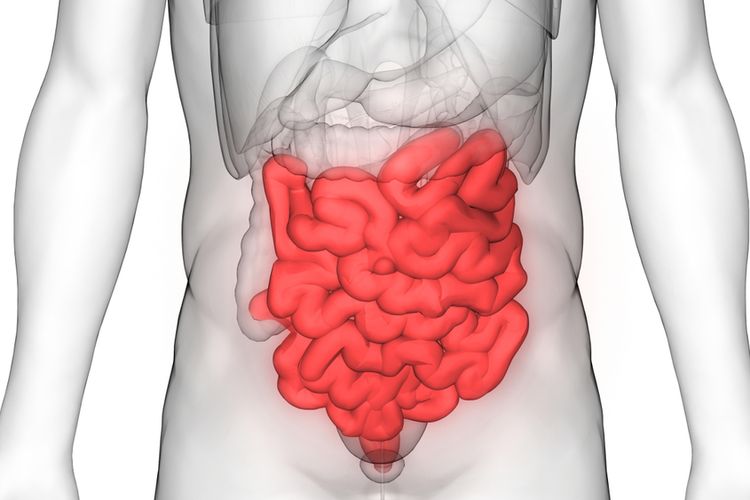 Kotoran Manusia 1.300 Tahun Ungkap Penyakit Usus Prasejarah Meksiko